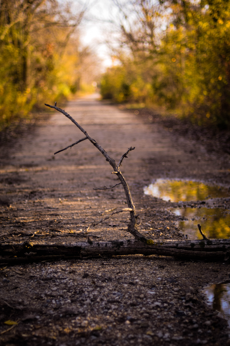 Hollows